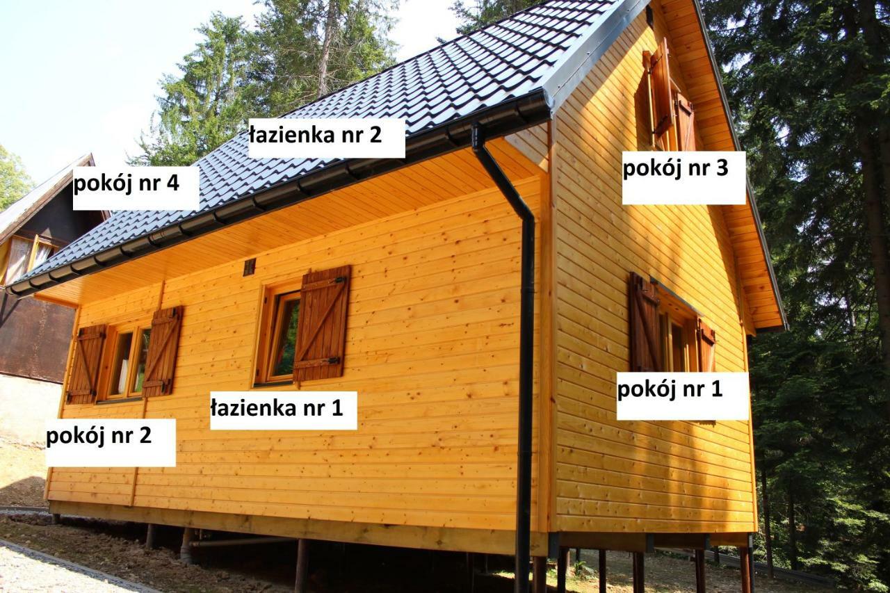 Lesna Willa Pttk W Komanczy Komańcza Kültér fotó